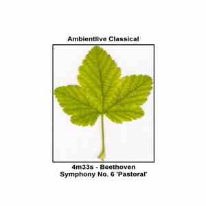 4m33s - Beethoven download free 4m33s - Beethoven download mp3 flac