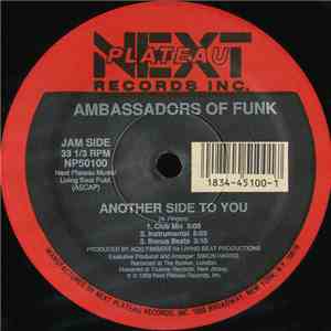 Ambassadors Of Funk - Another Side To You download mp3 flac