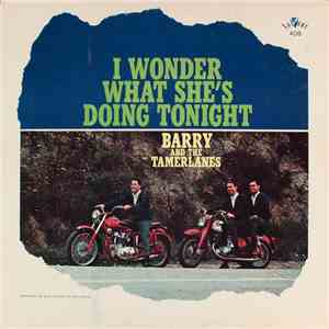 Barry And The Tamerlanes - I Wonder What She's Doing Tonight download free Barry And The Tamerlanes - I Wonder What She's Doing Tonight download mp3 flac