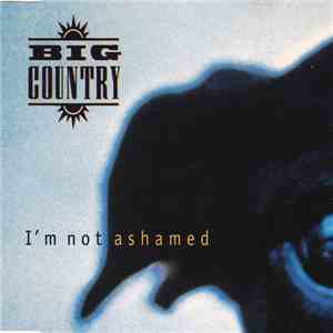 Big Country - I'm Not Ashamed download free Big Country - I'm Not Ashamed download mp3 flac
