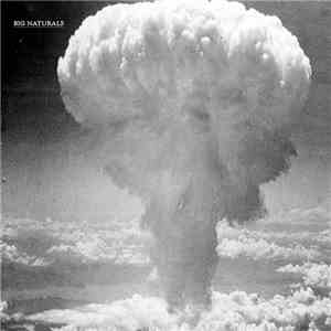 Big Naturals - Big Naturals download free Big Naturals - Big Naturals download mp3 flac