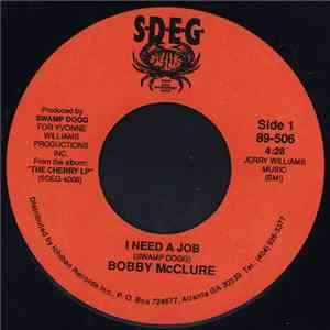 Bobby McClure - I Need A Job download mp3 flac