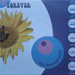 Boogie Tunes - Forever download mp3 flac