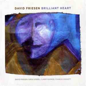 David Friesen - Brilliant Heart download mp3 flac