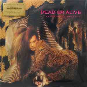 Dead Or Alive - Sophisticated Boom Boom download free Dead Or Alive - Sophisticated Boom Boom download mp3 flac