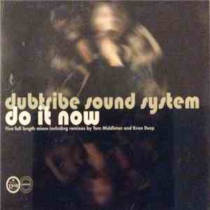 Dubtribe Sound System - Do It Now download mp3 flac