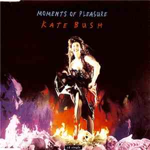 Kate Bush - Moments Of Pleasure download mp3 flac