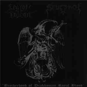 Legion Of Doom / Stutthof - Brotherhood Of Drakkonian Royal Blood download free Legion Of Doom / Stutthof - Brotherhood Of Drakkonian Royal Blood download mp3 flac