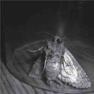 Luminance  + Psyche  - Left Out download free