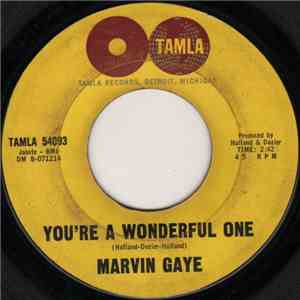 Marvin Gaye - You're A Wonderful One download free Marvin Gaye - You're A Wonderful One download mp3 flac