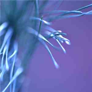 Ness  - Moving Through Illusions download free