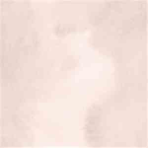 NXS - Pearl, Snake, Bird, Dawn download mp3 flac
