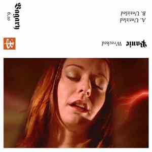Panic - Wrecked download free Panic - Wrecked download mp3 flac
