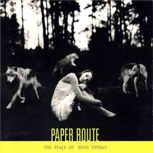 Paper Route - The Peace Of Wild Things download mp3 flac