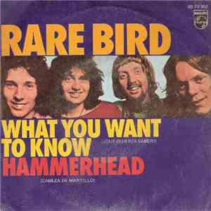 Rare Bird - What You Want To Know (¿Que Quieres Saber?) download free Rare Bird - What You Want To Know (¿Que Quieres Saber?) download mp3 flac