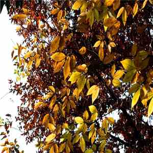 Sanmi - Selected Ambient Works download free Sanmi - Selected Ambient Works download mp3 flac