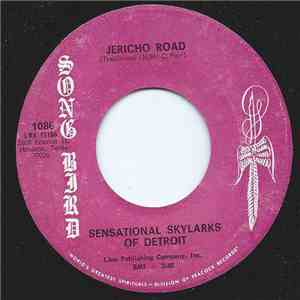 Sensational Skylarks Of Detroit - Jericho Road / Nobody Knows download mp3 flac