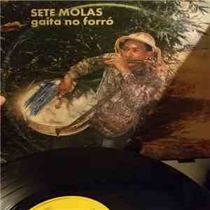 Sete Molas - Gaita No Forró download free