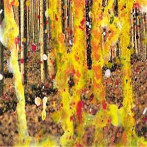 Sivigettoa - Ayxuahila download free Sivigettoa - Ayxuahila download mp3 flac