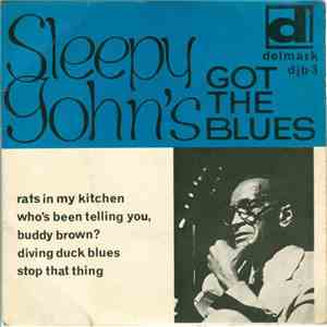 Sleepy John Estes - Sleepy John's Got The Blues download mp3 flac
