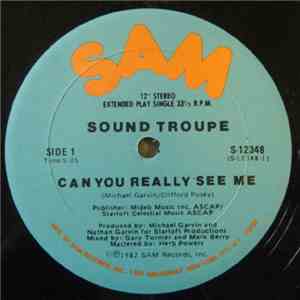 Sound Troupe - Can You Really See Me download free