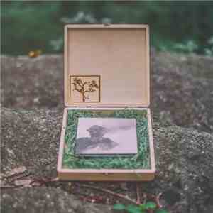 The Flashbulb - Piety Of Ashes download free