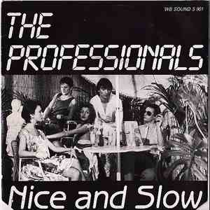 The Professionals  and Sal Diaz - Nice And Slow download mp3 flac