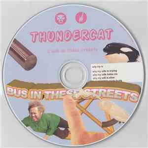 Thundercat - Bus In These Streets download mp3 flac