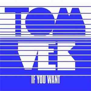 Tom Vek - If You Want download mp3 flac