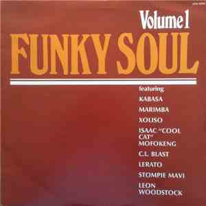 Various - Funky Soul Volume 1 download free Various - Funky Soul Volume 1 download mp3 flac