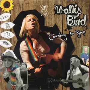 Wallis Bird - Counting To Sleep / Sewn download mp3 flac