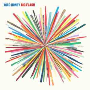 Wild Honey - Big Flash download free Wild Honey - Big Flash download mp3 flac
